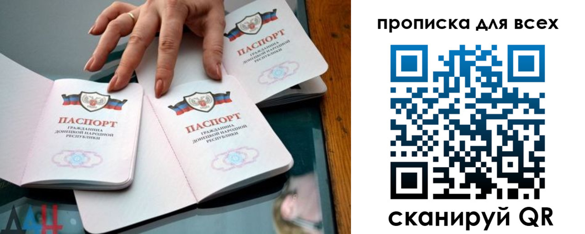 прописка гарантия в Черноголовке